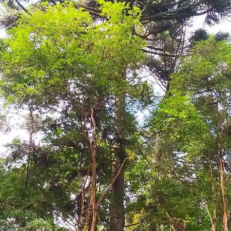 Chacara Rancho Paraiso Piraquara Kültér fotó