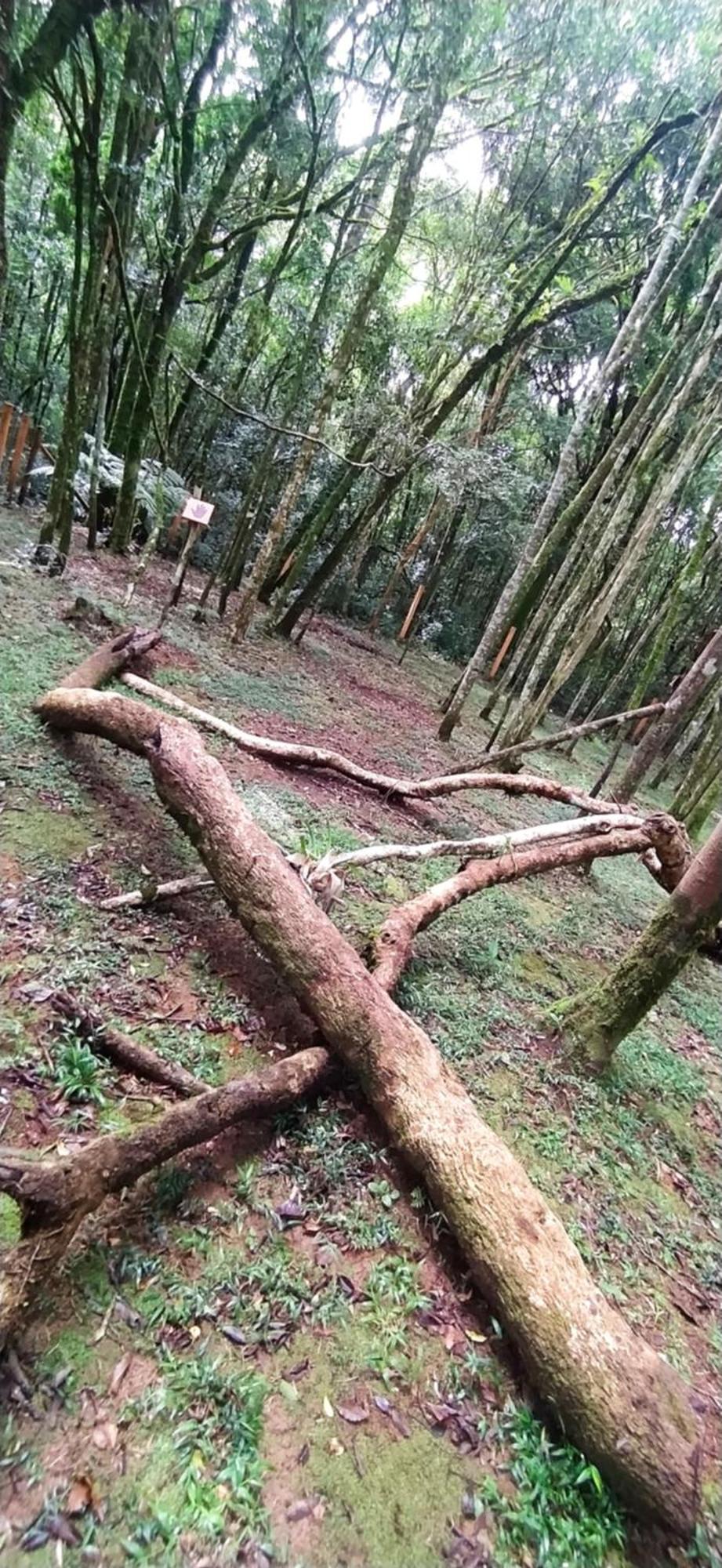 Chacara Rancho Paraiso Piraquara Kültér fotó