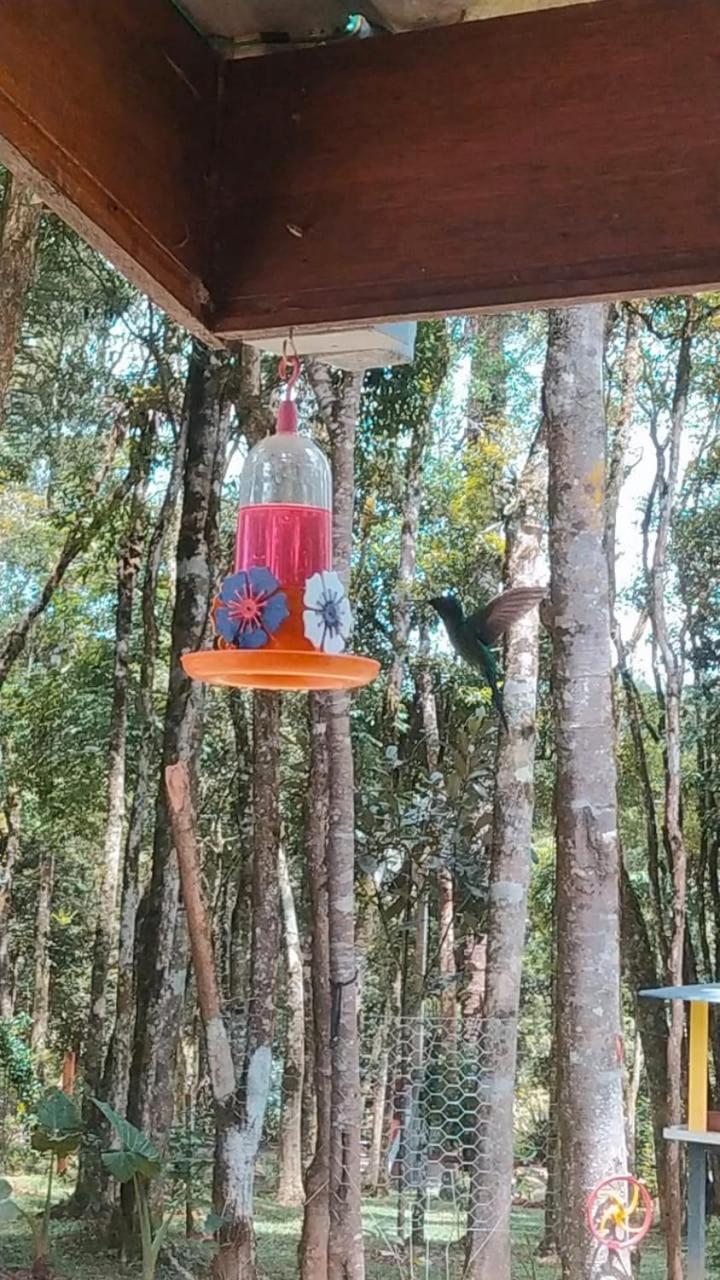 Chacara Rancho Paraiso Piraquara Kültér fotó