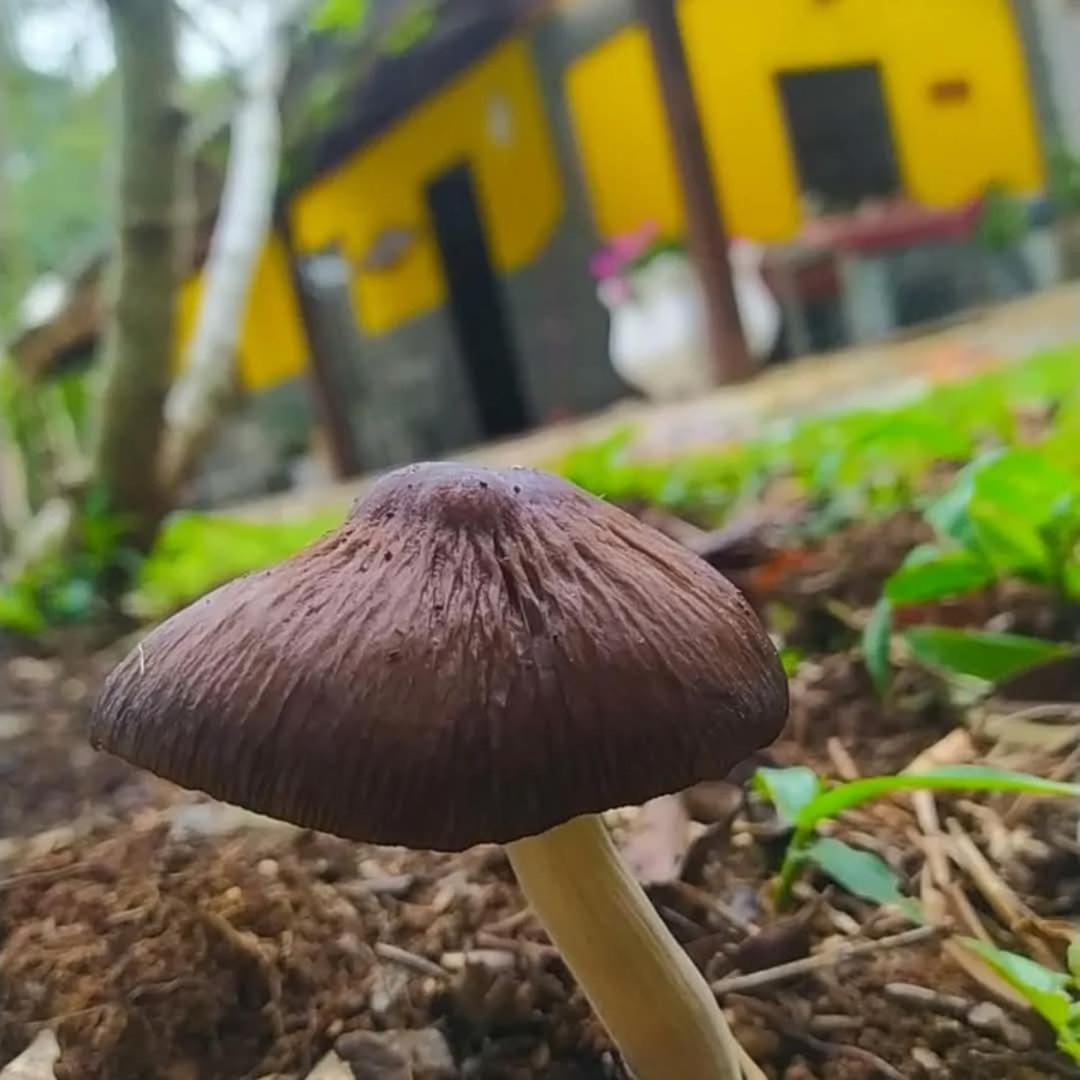 Chacara Rancho Paraiso Piraquara Kültér fotó
