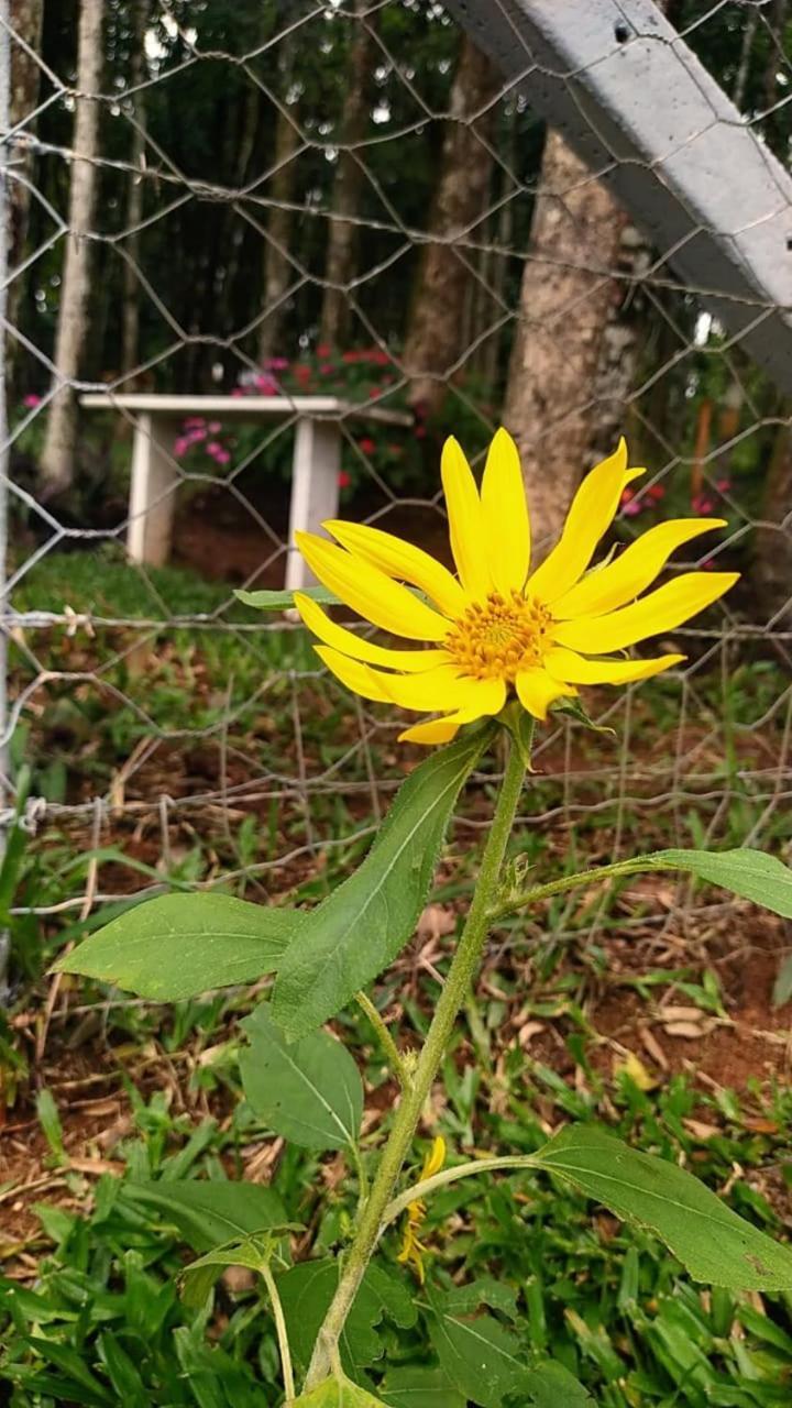 Chacara Rancho Paraiso Piraquara Kültér fotó